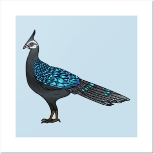 Palawan peacock pheasant bird cartoon illustration Posters and Art